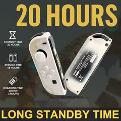 Switch Controller for Nintendo Switch Dual Vibration/Wake-up/Motion Control (White)