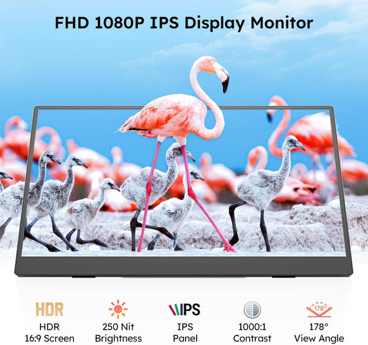 Dopesplay 15.6" FHD 1080p IPS Portable Monitor with USB-C and Mini HDMI