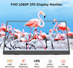Dopesplay 15.6" FHD 1080p IPS Portable Monitor with USB-C and Mini HDMI